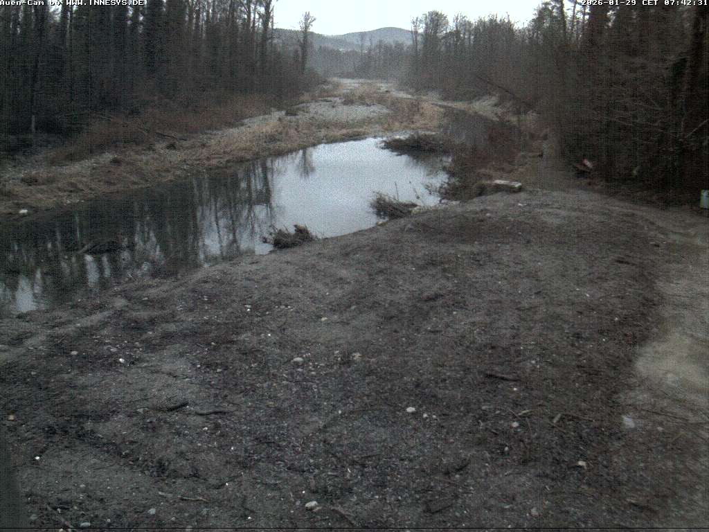 Camera localcam: Live Image.